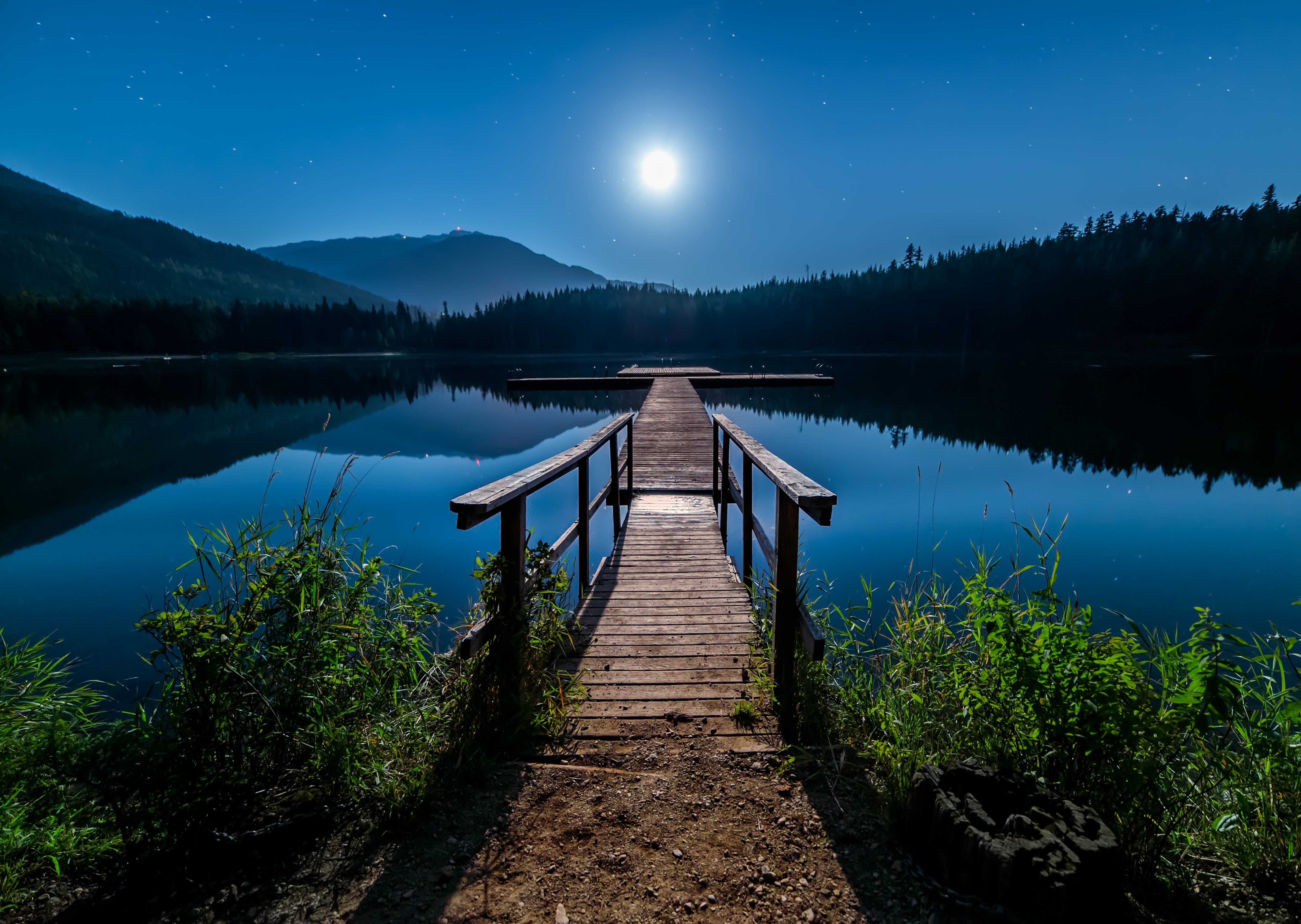a bridge lead into moonlight